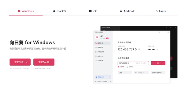 ameviewer专精游戏向日葵综合最优不朽情缘平台登录网页远程控制软件盘点G(图3)